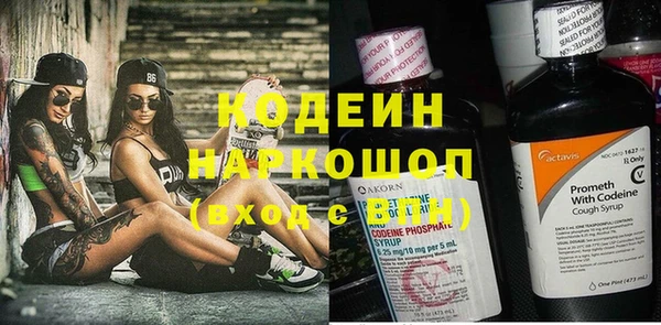 ПСИЛОЦИБИНОВЫЕ ГРИБЫ Богданович